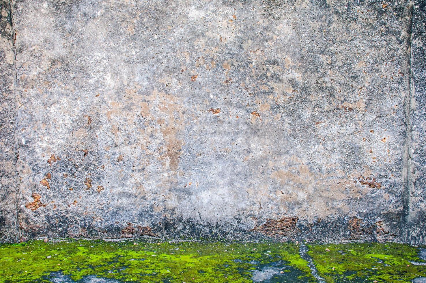 oude cementmuurtextuur met groene mos voor achtergrondgebruik foto