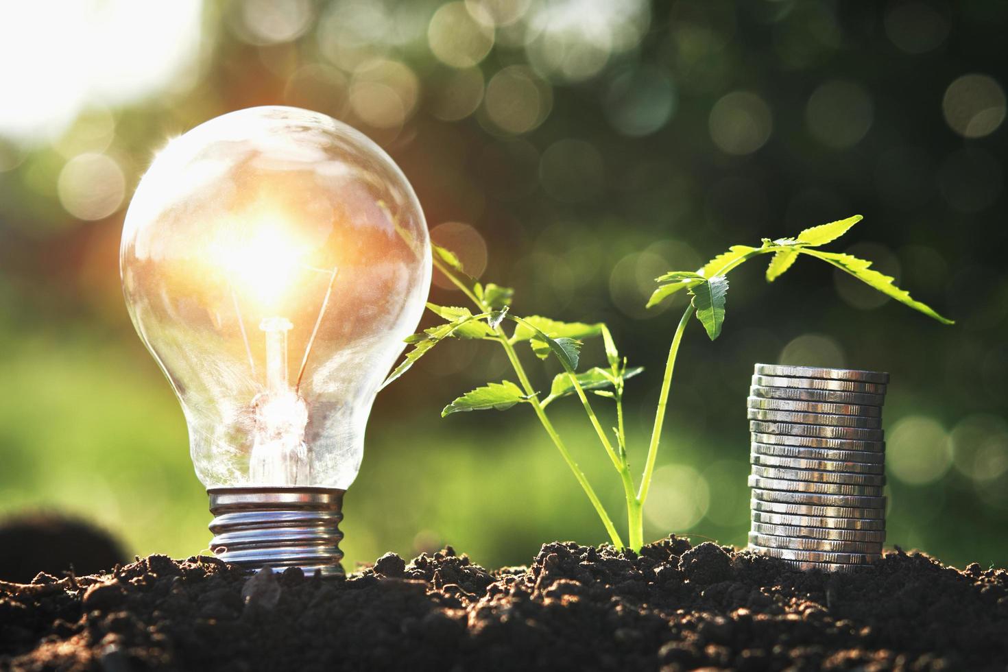 gloeilamp met kleine boom en geldstapel op bodem in de achtergrond van de aardzonsondergang. concept energie besparen foto