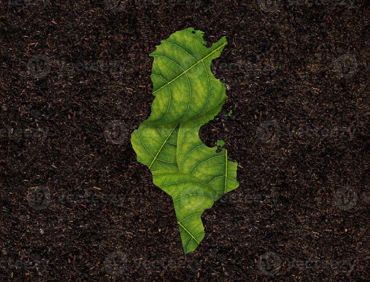 tunesië kaart gemaakt van groene bladeren, concept ecologie kaart groen blad op bodem achtergrond foto