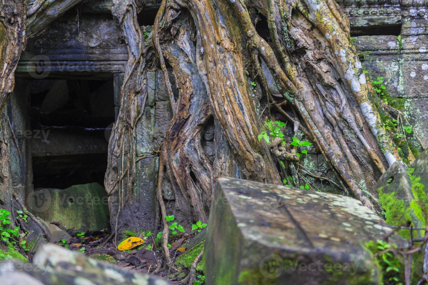 angkor wat complex foto