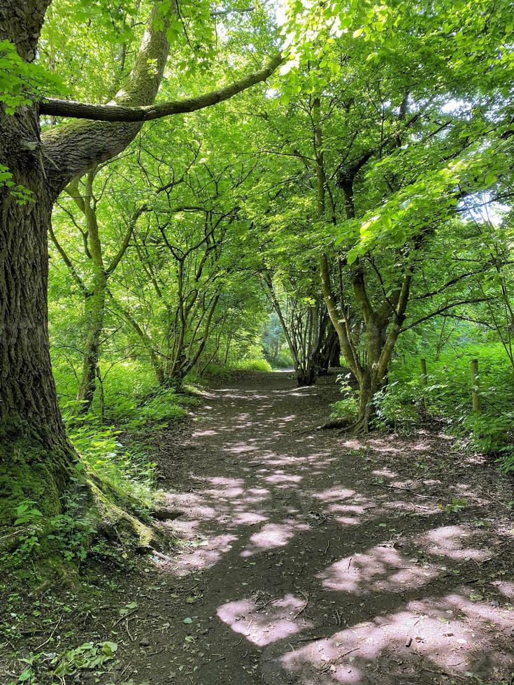 uitzicht op het platteland van Cheshire in de buurt van Knutsford in de zomer foto