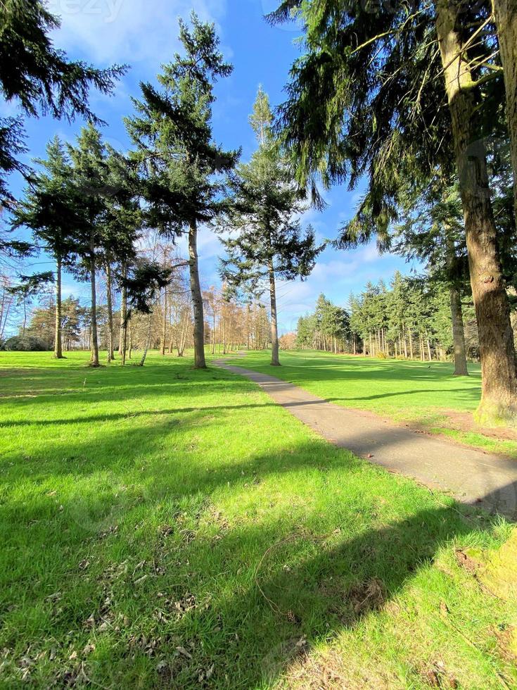 uitzicht op het platteland van cheshire bij carden park foto