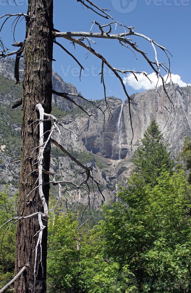prachtig landschap van Yosemite National Park foto