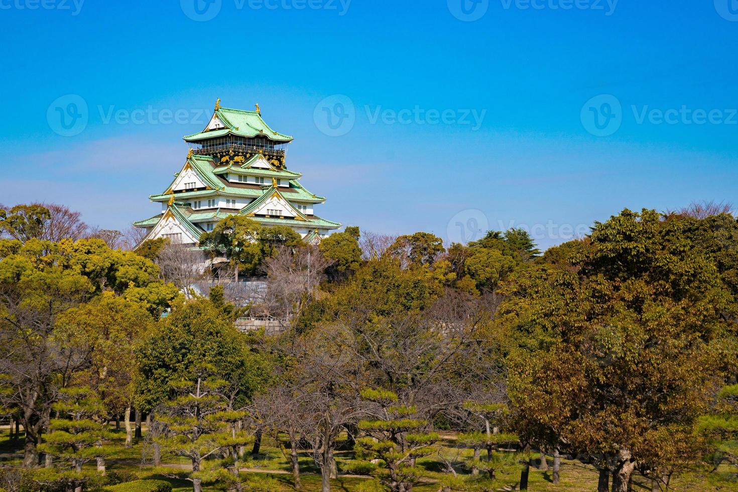 japans, toeristen, reizigers liepen in maart 2018 rond in het kasteel van osaka met een droge boom rond, oaska, japan. foto