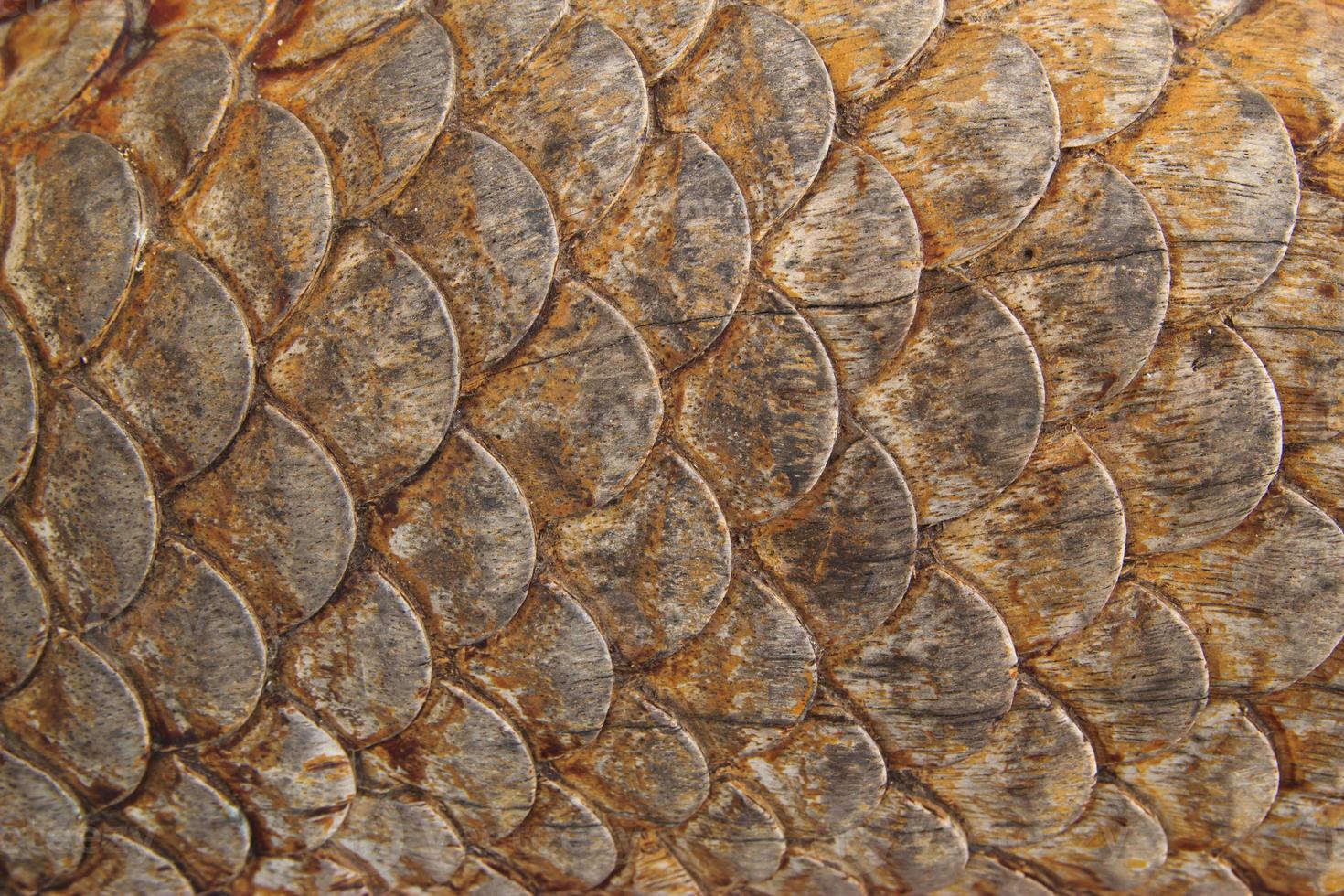 houtsnijwerk van een draak in Thailand foto