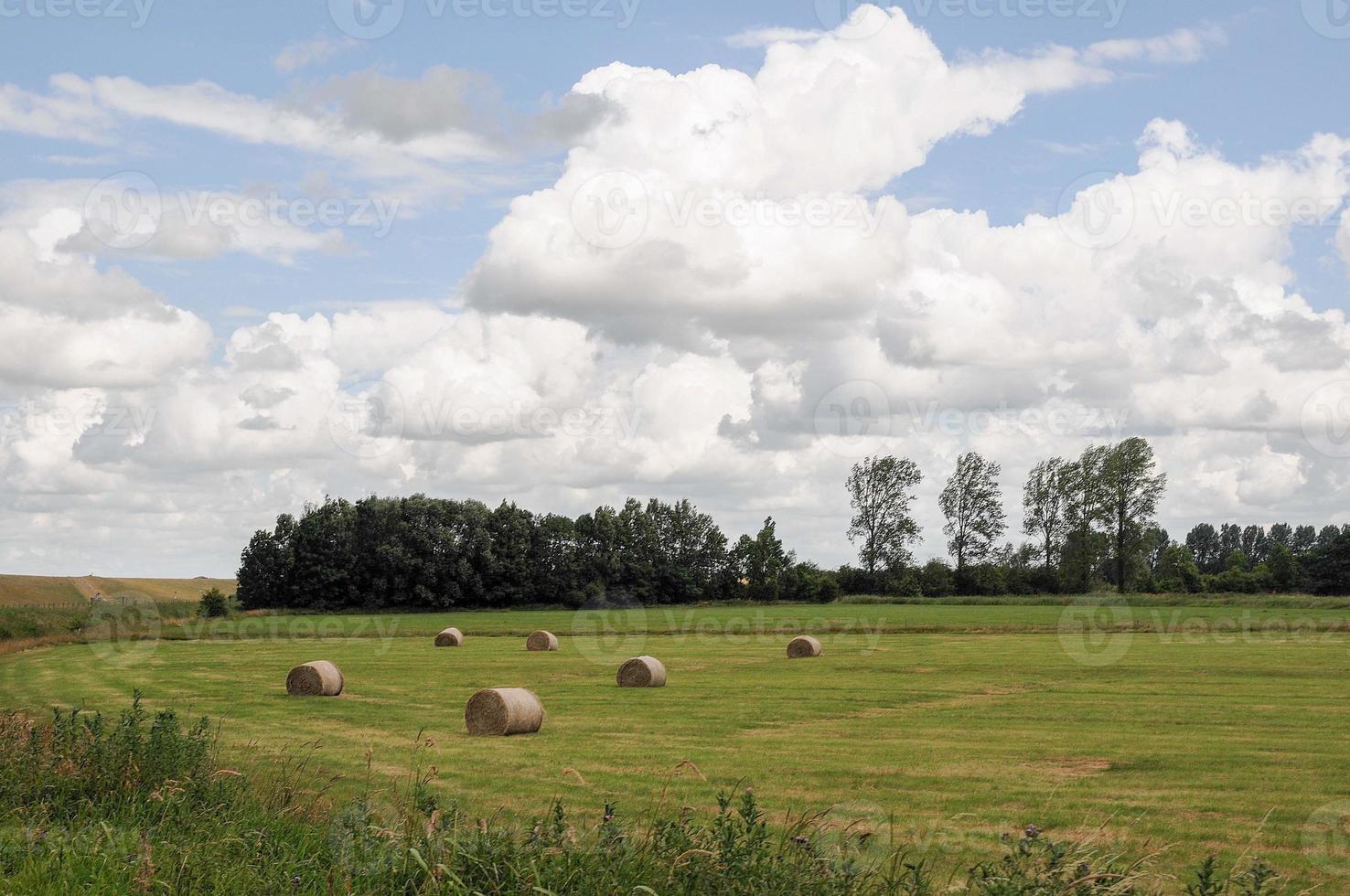 de rivier de ems bij weener in duitsland foto