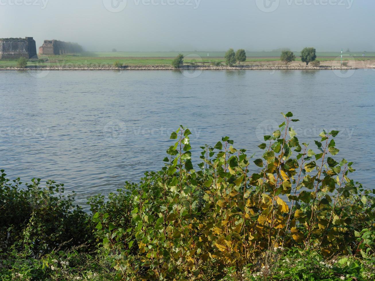 de Rijn bij wesel in de ochtend foto