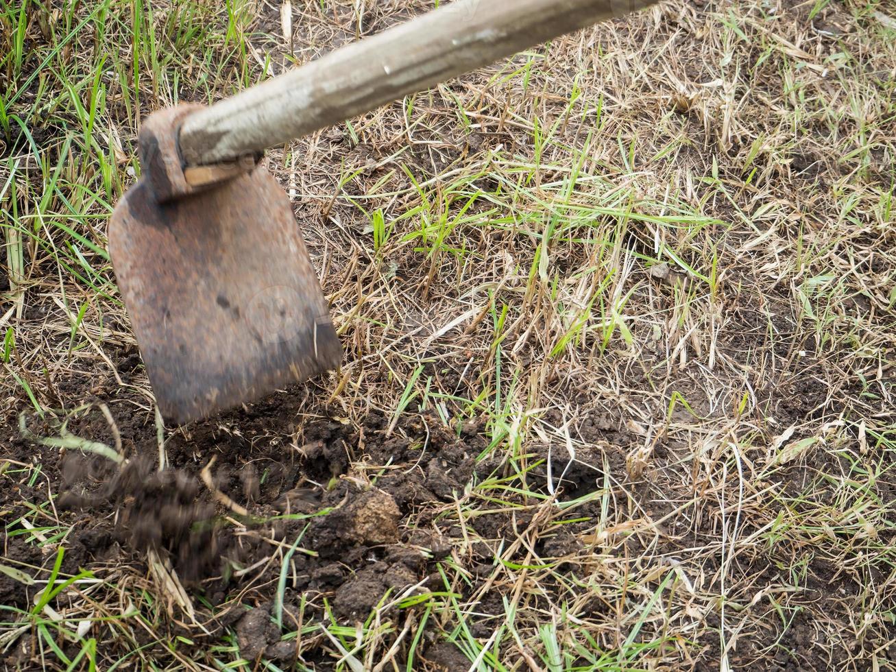 schoffel in de tuin foto