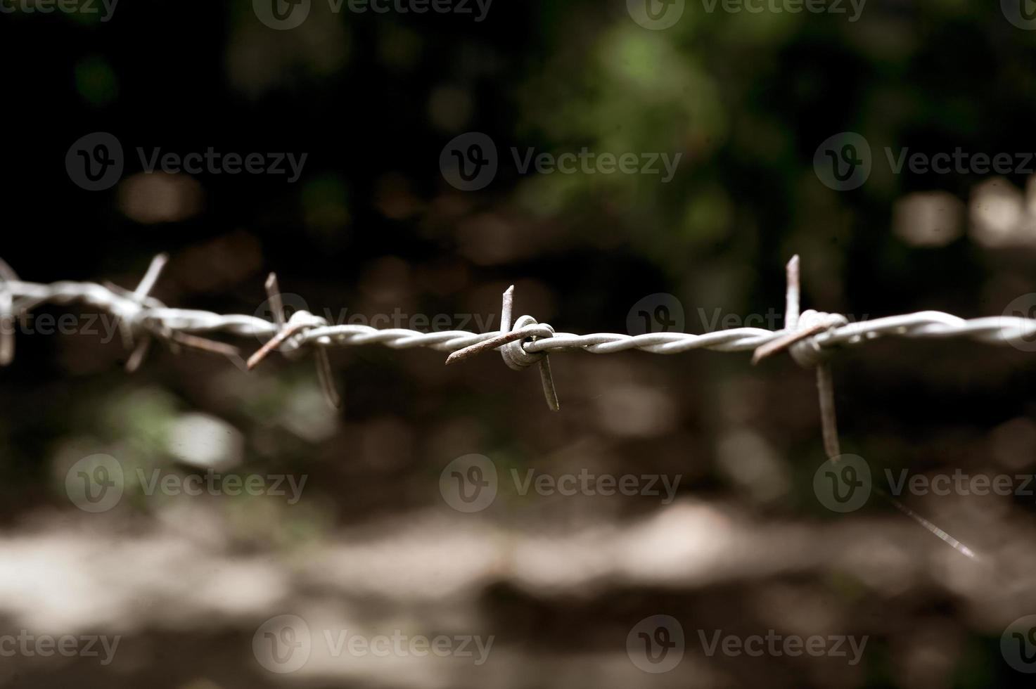 close-up van een prikkeldraadomheining in een beperkt gebied. foto