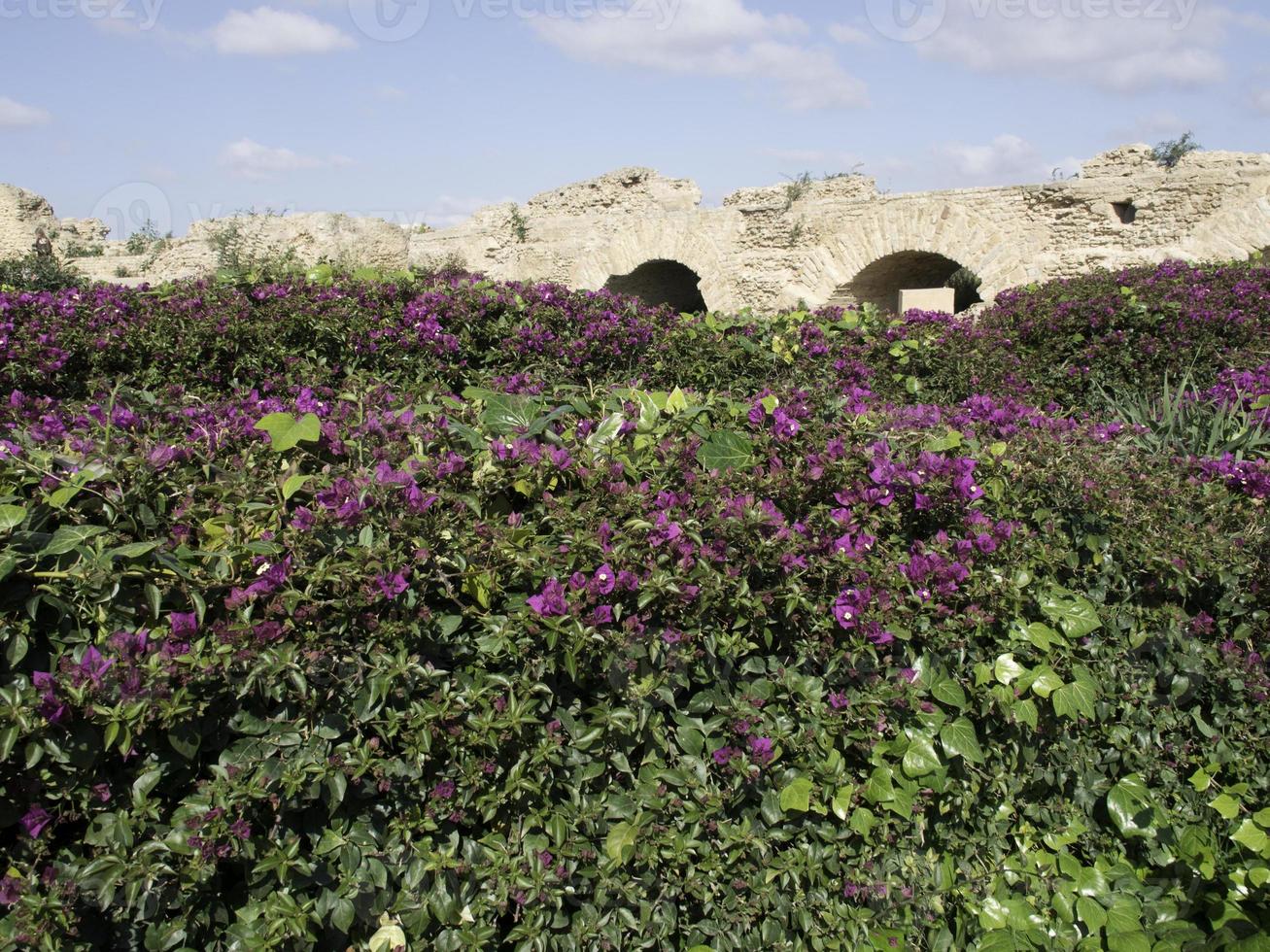 de stad tunis in tunesië foto