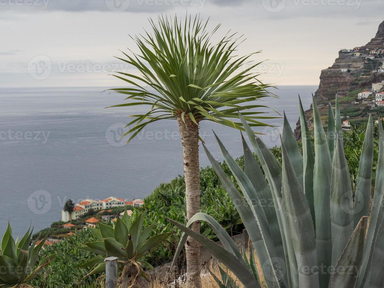 het portugese eiland madeira foto