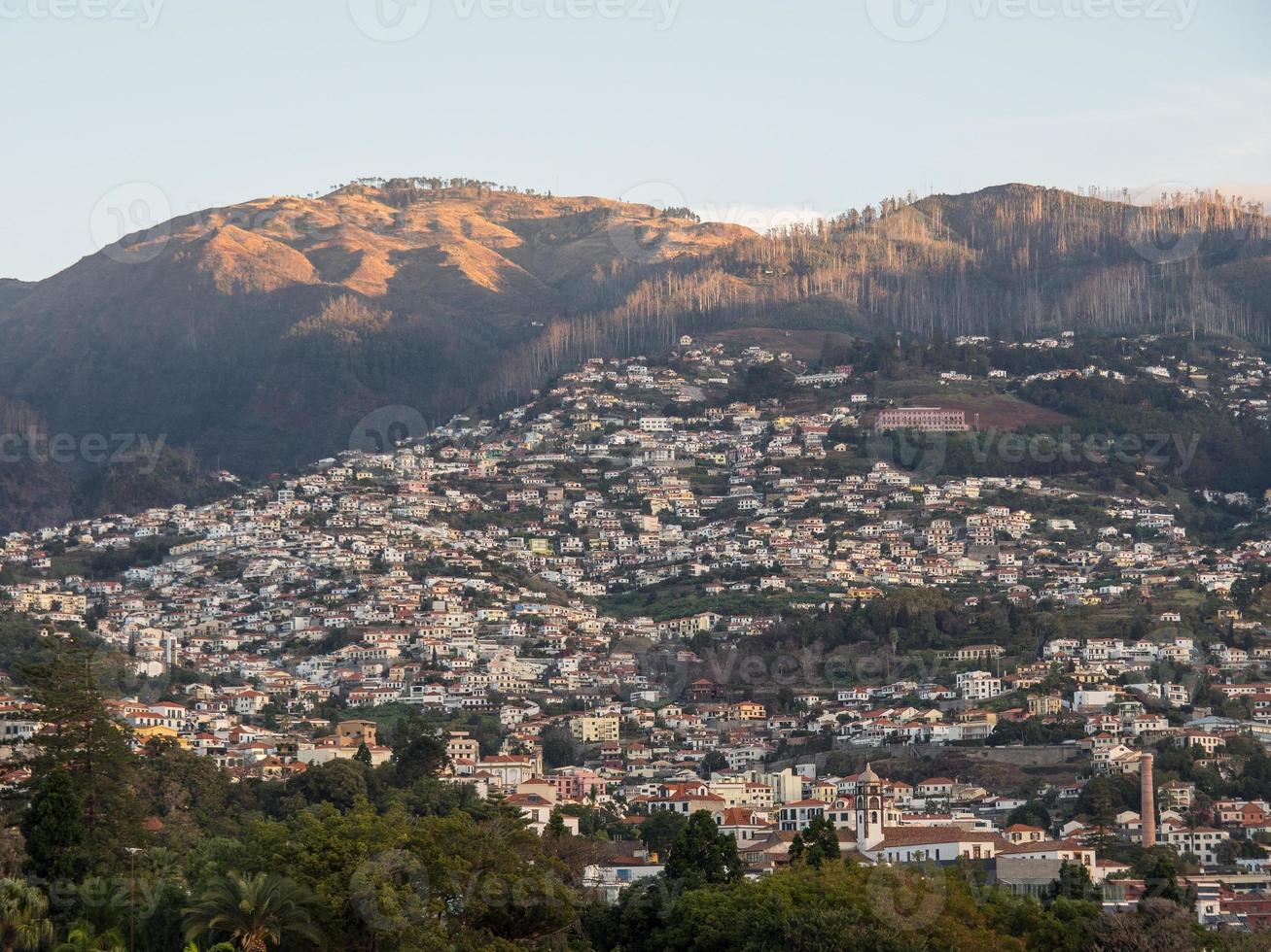 het eiland madeira foto