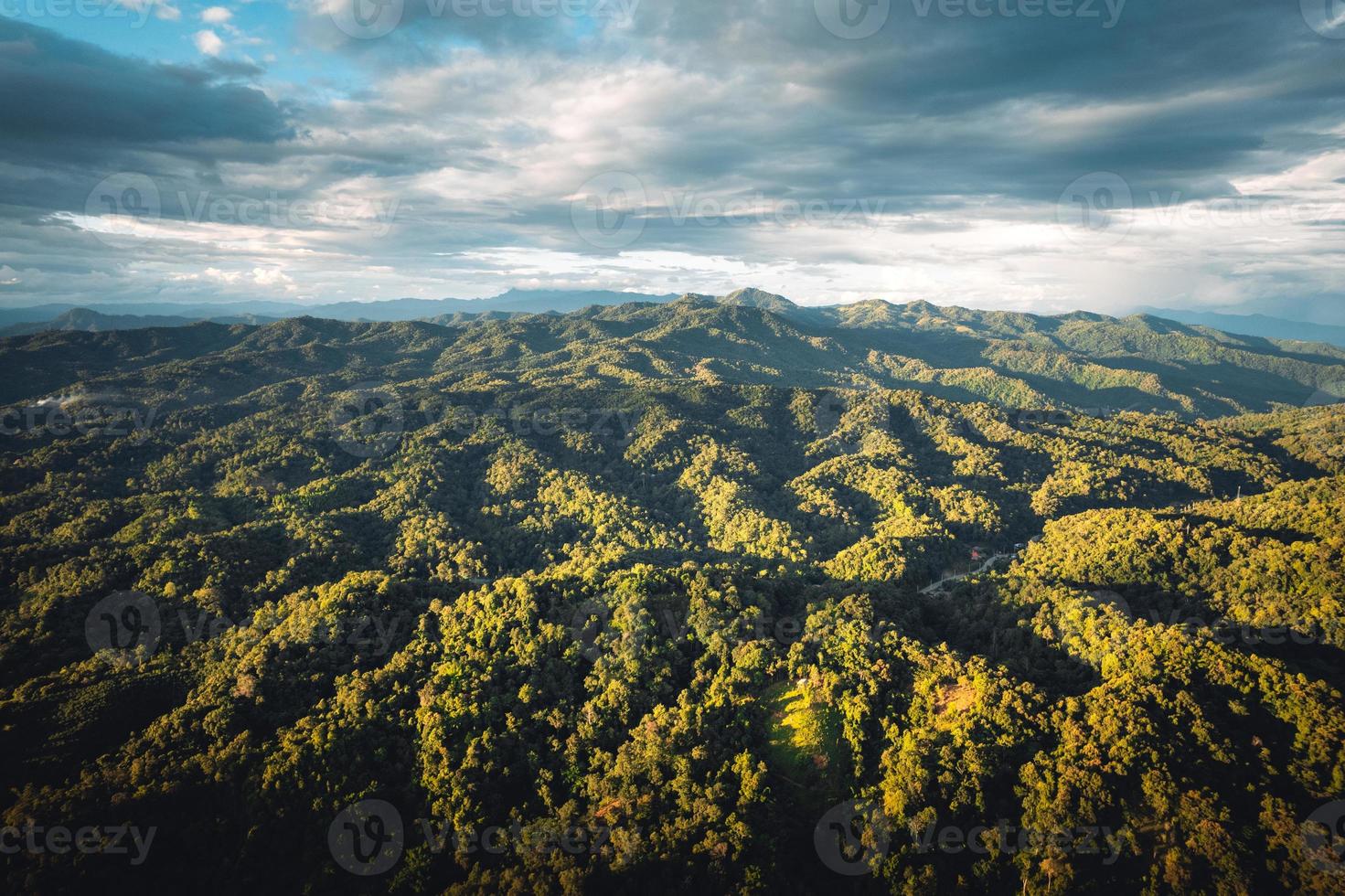 bergen en groene bomen in de avond foto