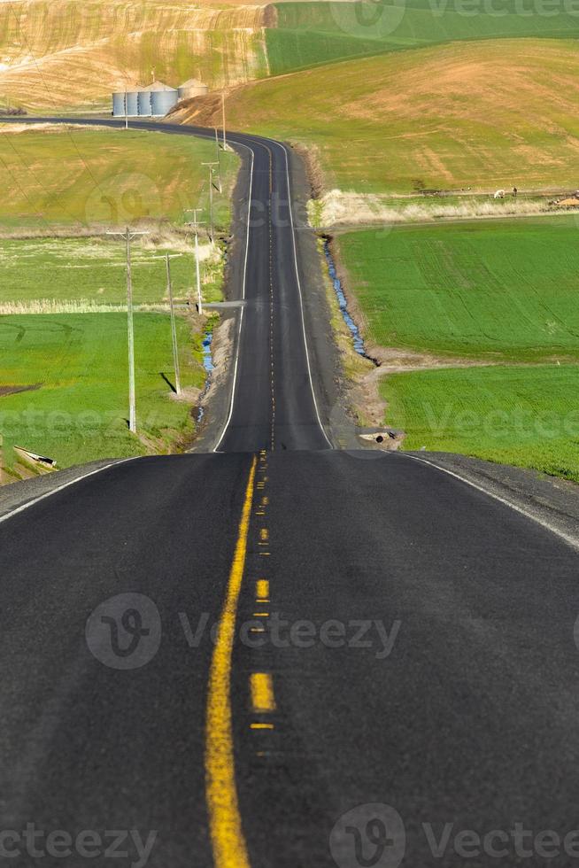 weg door de bochtige groene velden van Palouse in Washington, VS foto