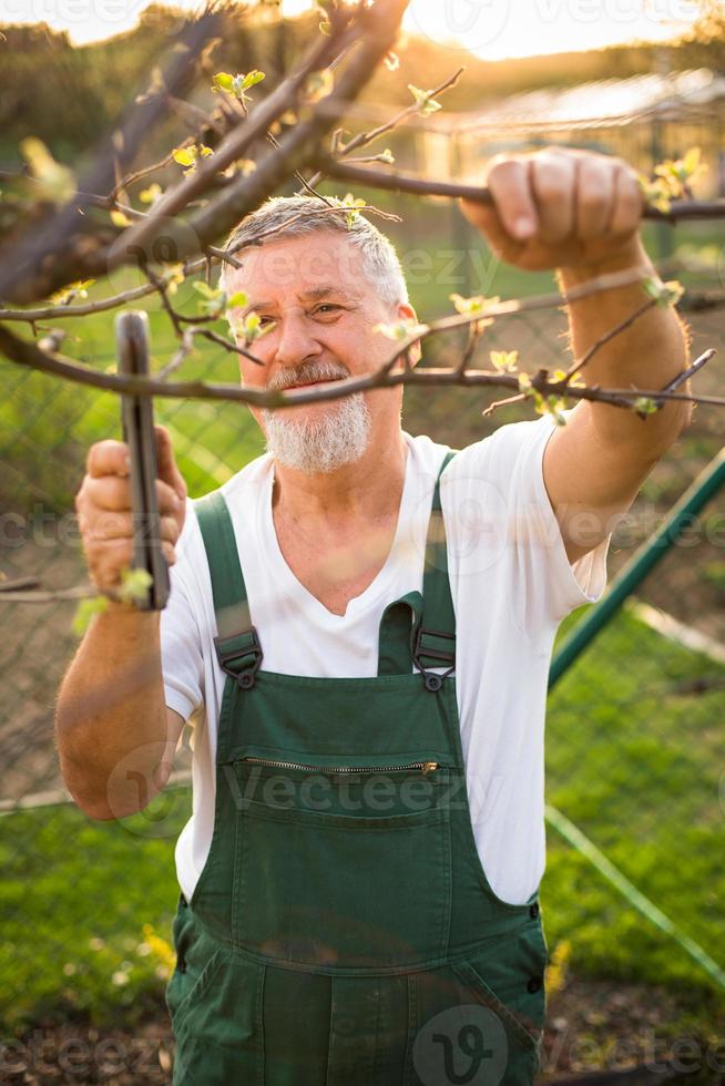 portret van een knappe senior man tuinieren foto