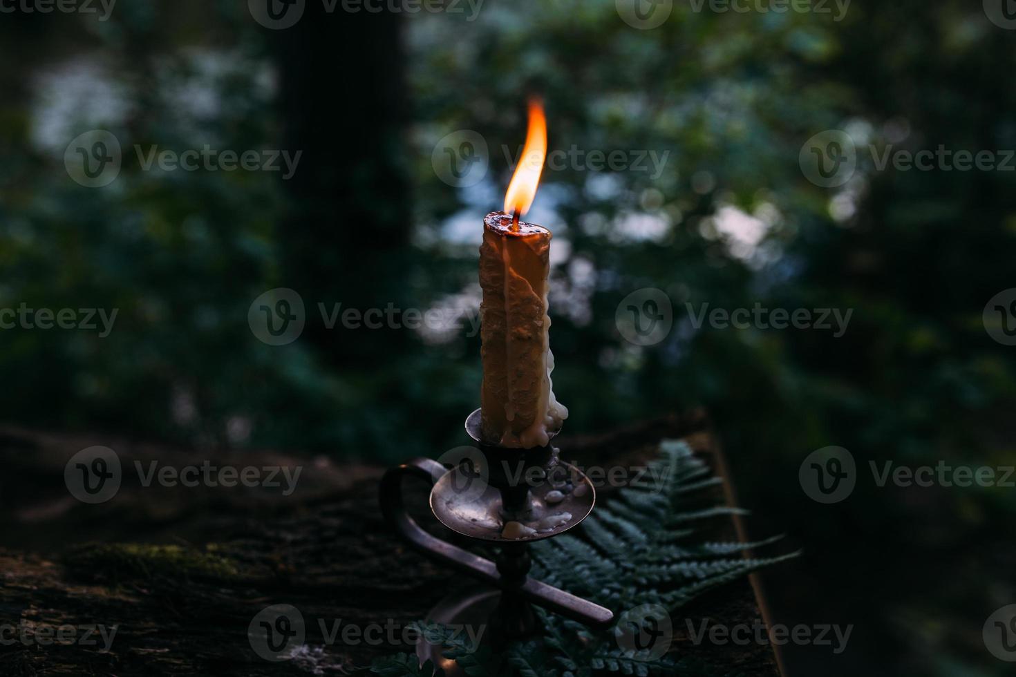 brandende kaars in betoverd bos. occult, esoterisch concept. foto