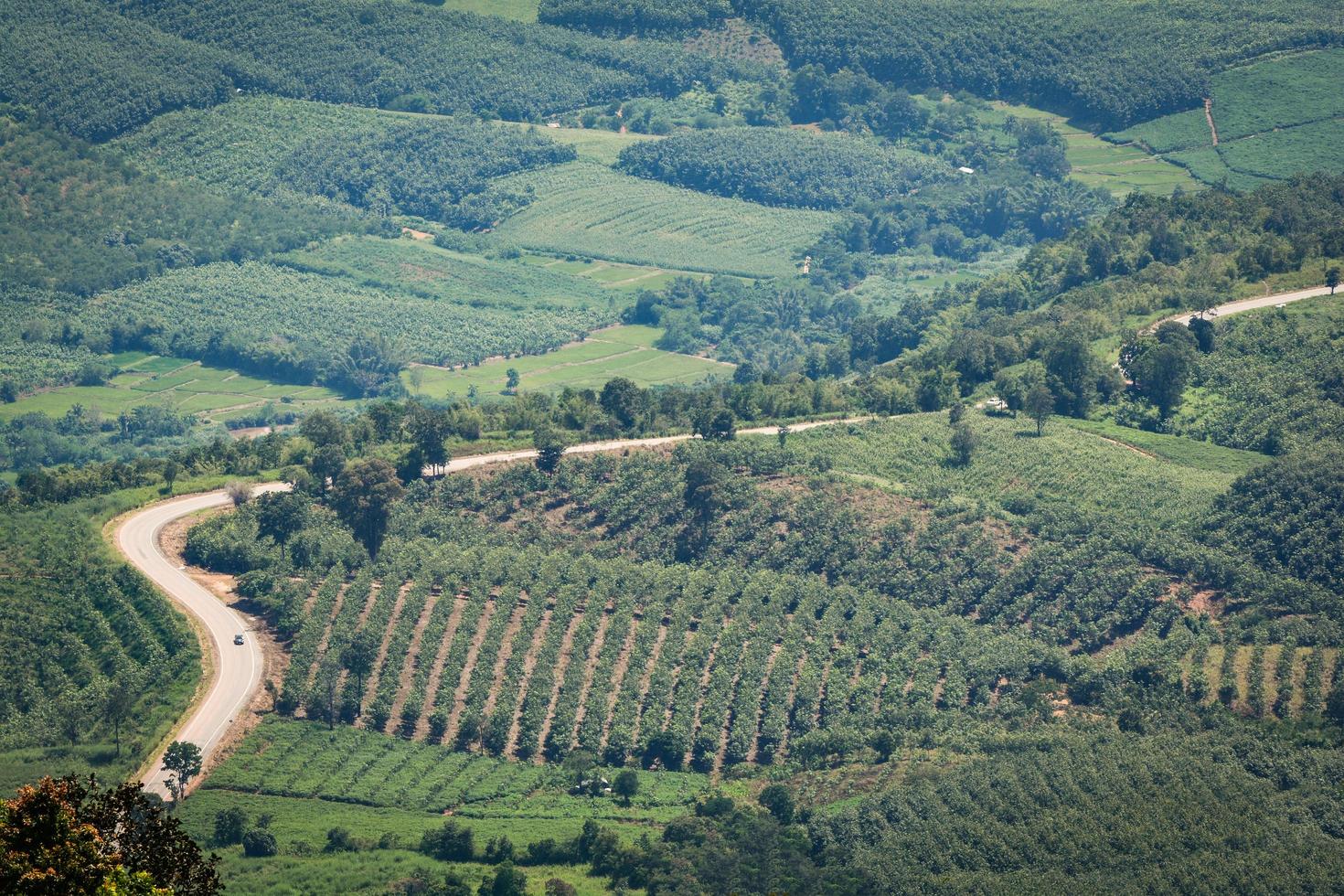 bovenaanzicht groen veld landbouwgebied met bocht van de weg op de berg foto