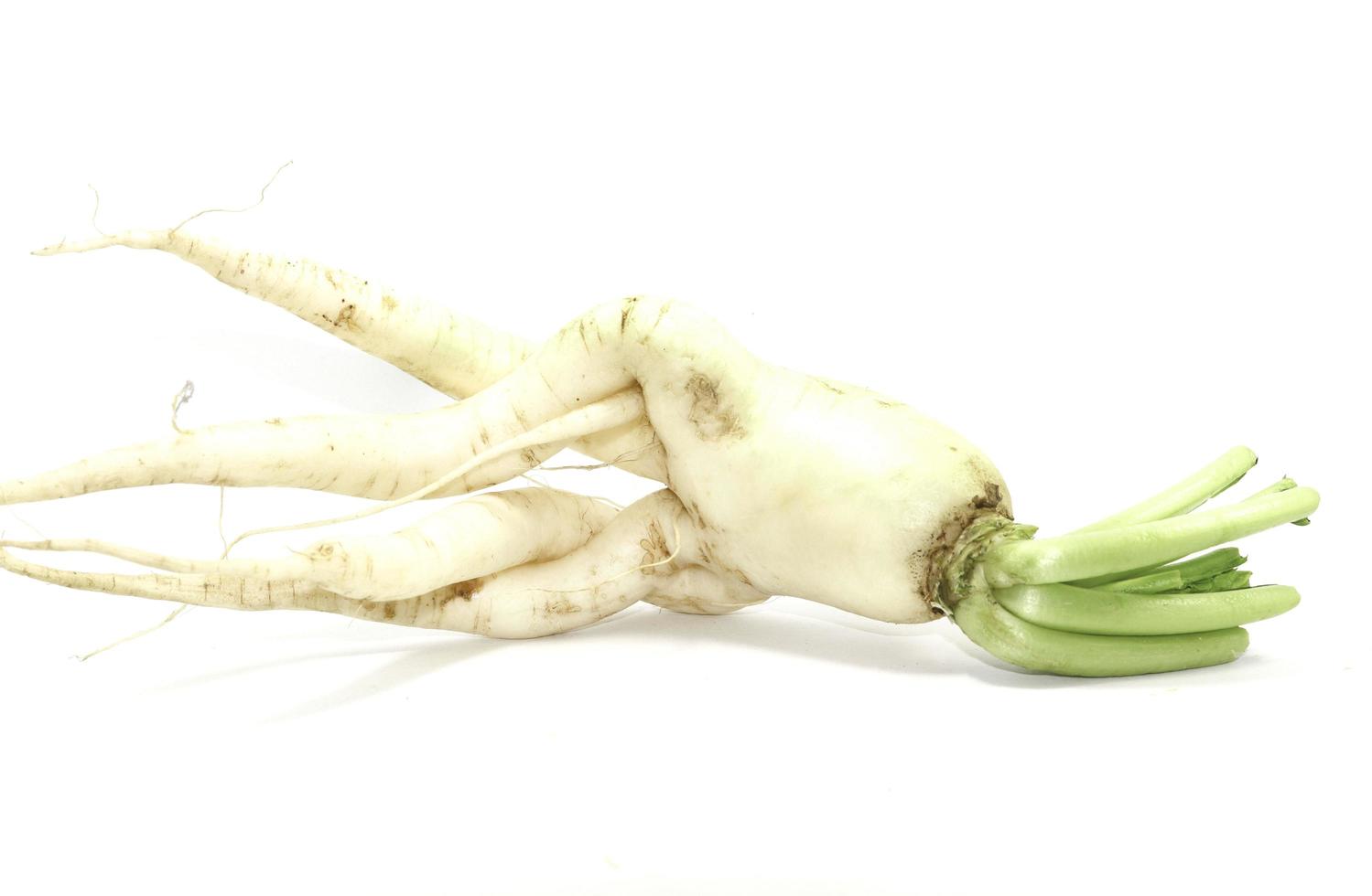 biologisch geteelde radijzen die worden geteeld om te eten en te koop - in een boerentuin op een witte achtergrond als gezond en veganistisch dieet, genomen in mijn thuisstudio. foto