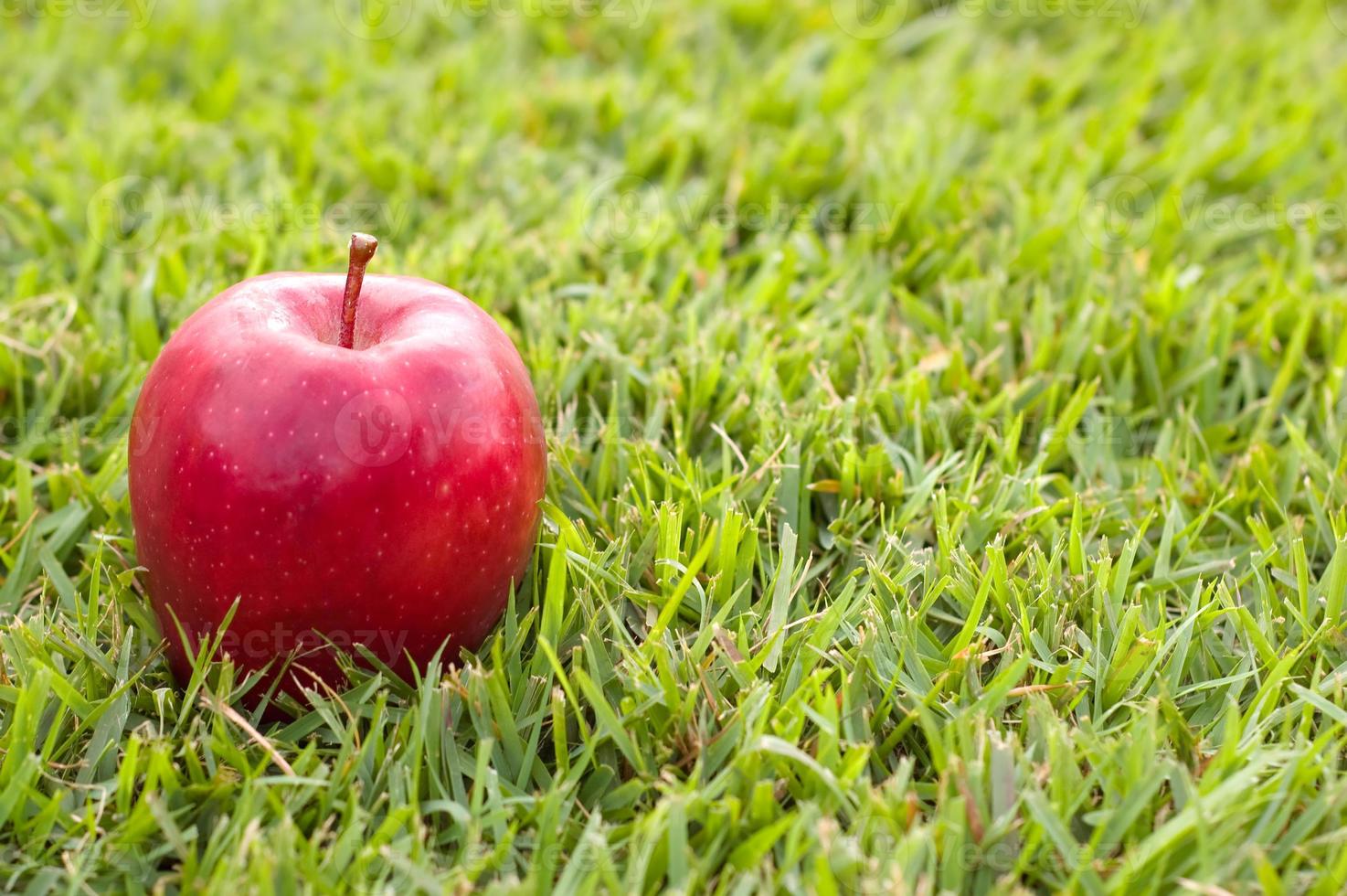 rode appel op gras foto