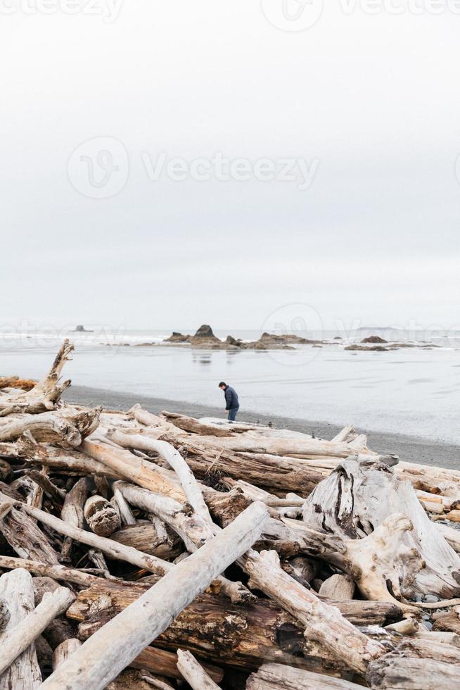 drijfhout op het strand foto