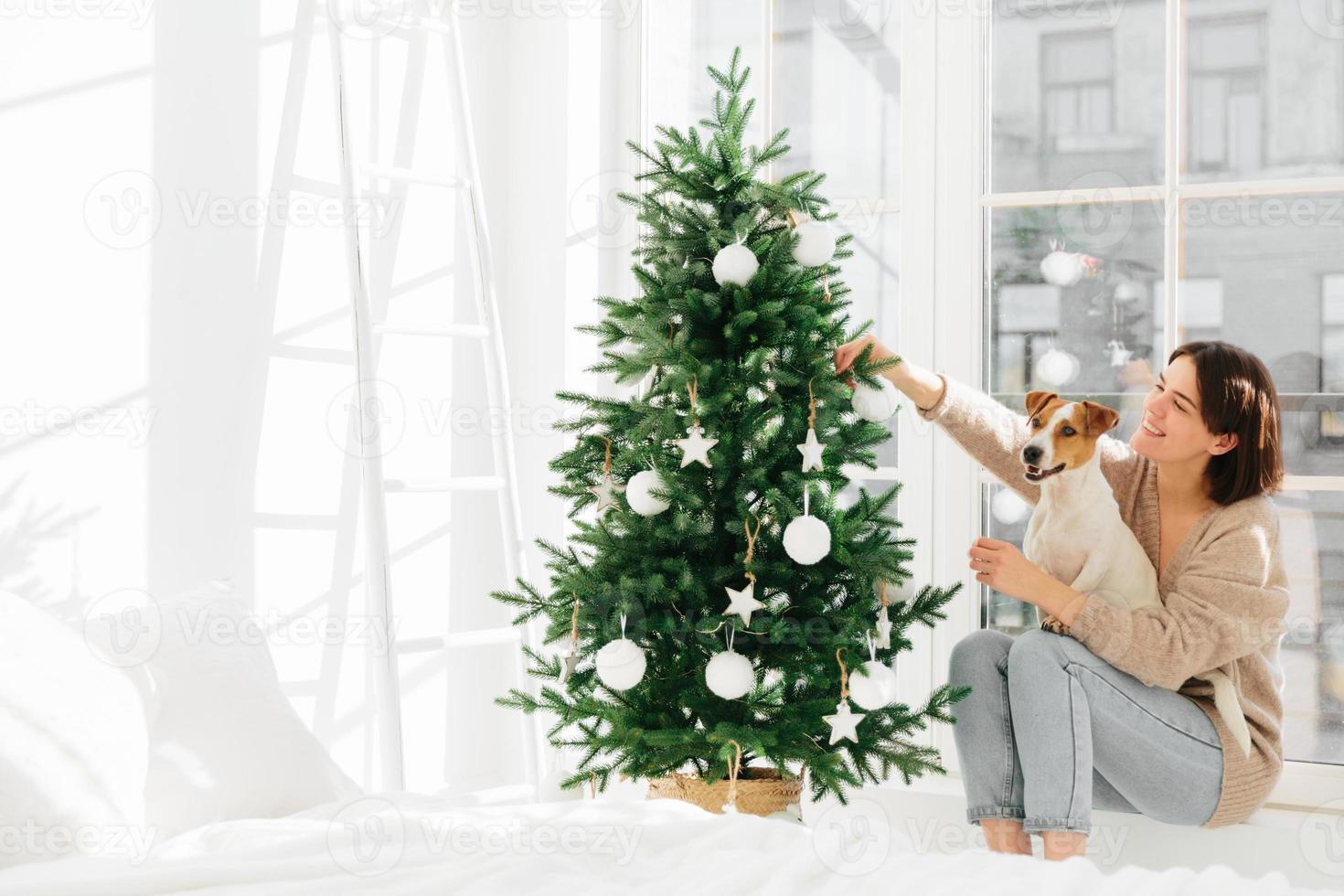 ochtend voor kerst. vrolijke opgetogen vrouw zit op de vensterbank met rashond jack russell terrier hond, geniet van nieuwjaarsvakantie, versier firtree met decoratiebal. mensen, dieren, wintertijd foto