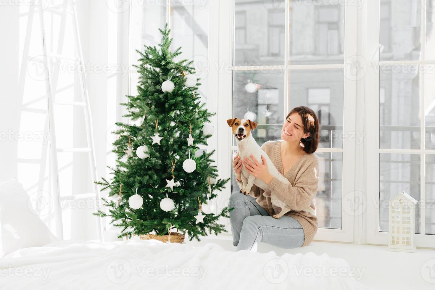 mooie vrouw geniet van tijd met hond, poseert in de buurt van versierde nieuwjaarsboom, zit op de vensterbank, poseert in ruime kamer, witte muren. kerstavond en tijd om te vieren. thuis en gezelligheid concept foto