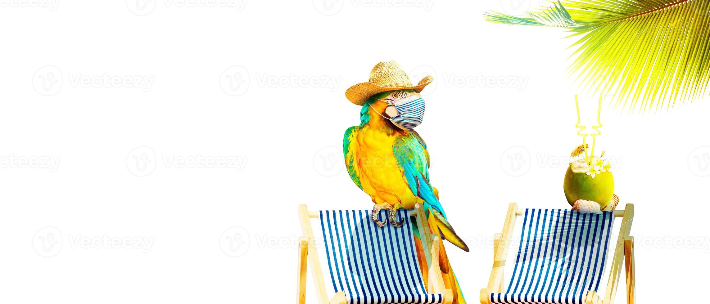ara papegaai met medisch masker op vakantie foto