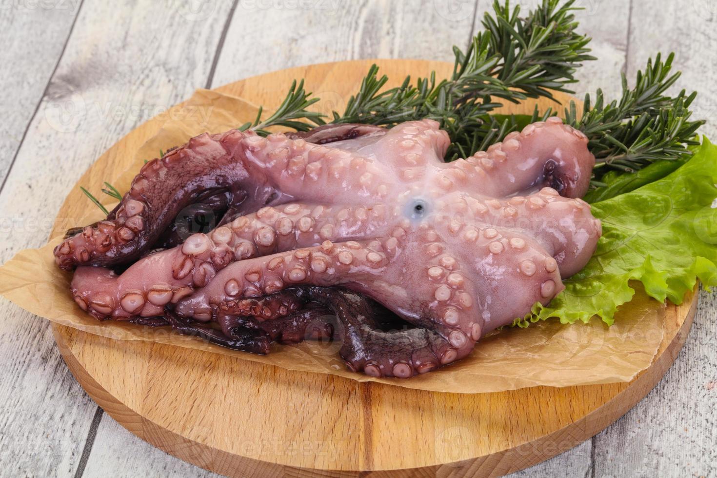 rauwe octopus klaar om te koken foto
