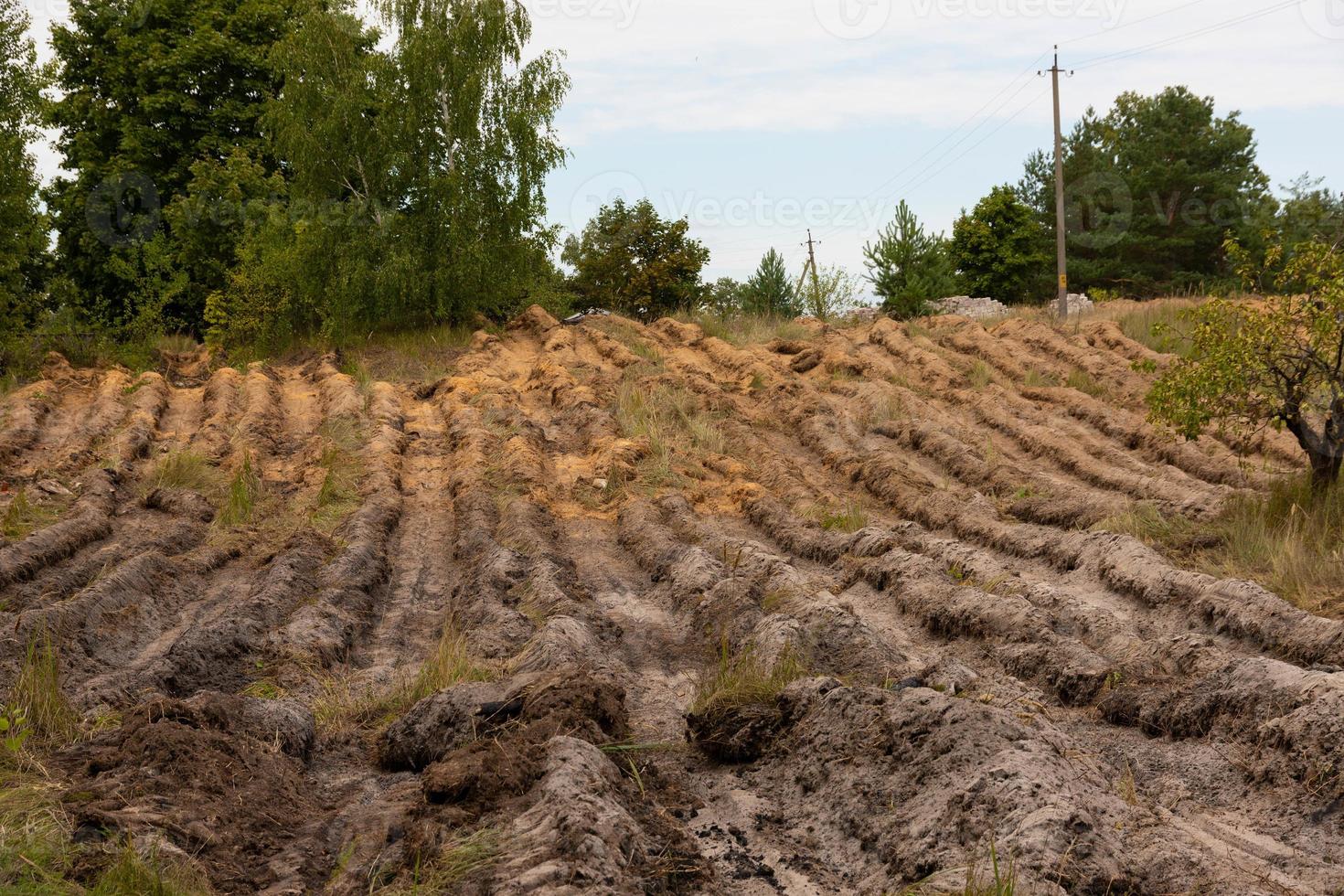 geploegd gras als middel om bosbranden te bestrijden. foto