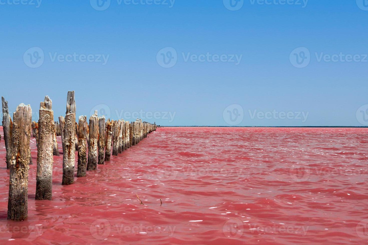 exotisch roze zoutmeer en blauwe lucht met wolken. foto