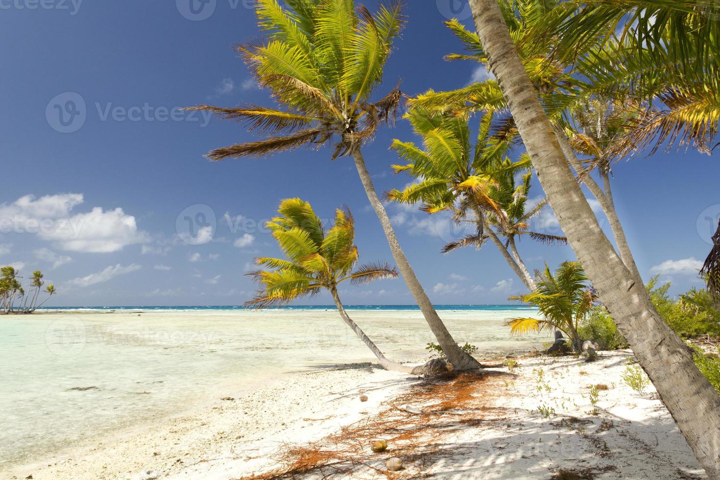 tropisch strand. blauwe lagune foto