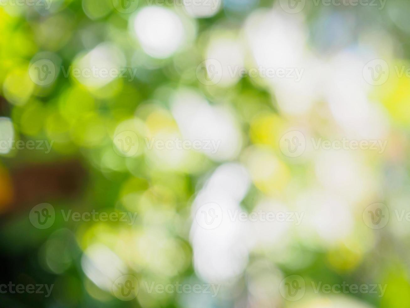 natuur achtergrond met bokeh licht foto