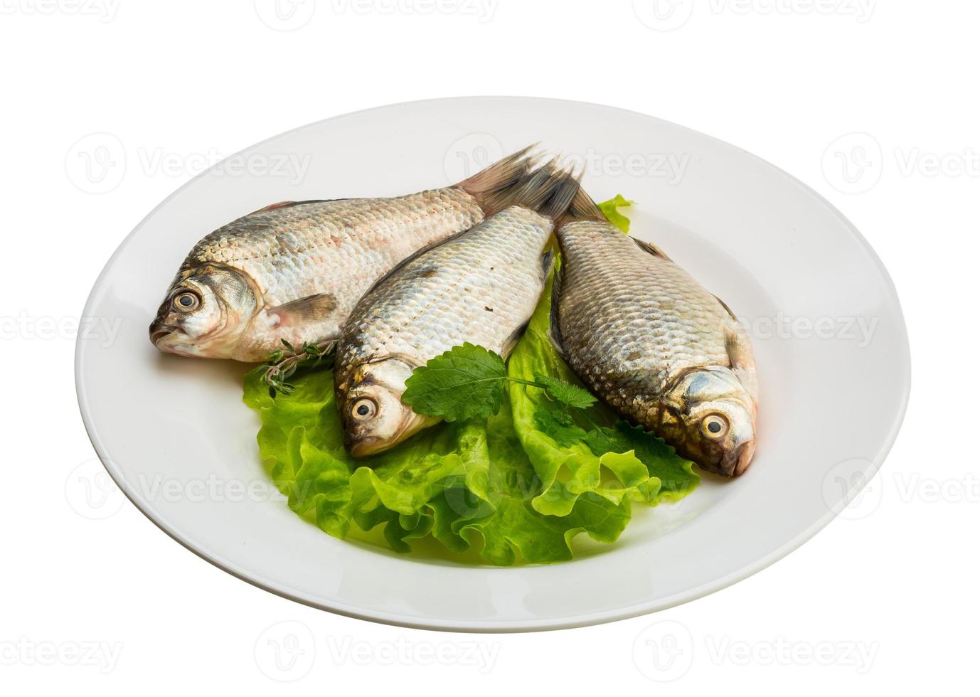 crucian vis geïsoleerd op witte achtergrond foto