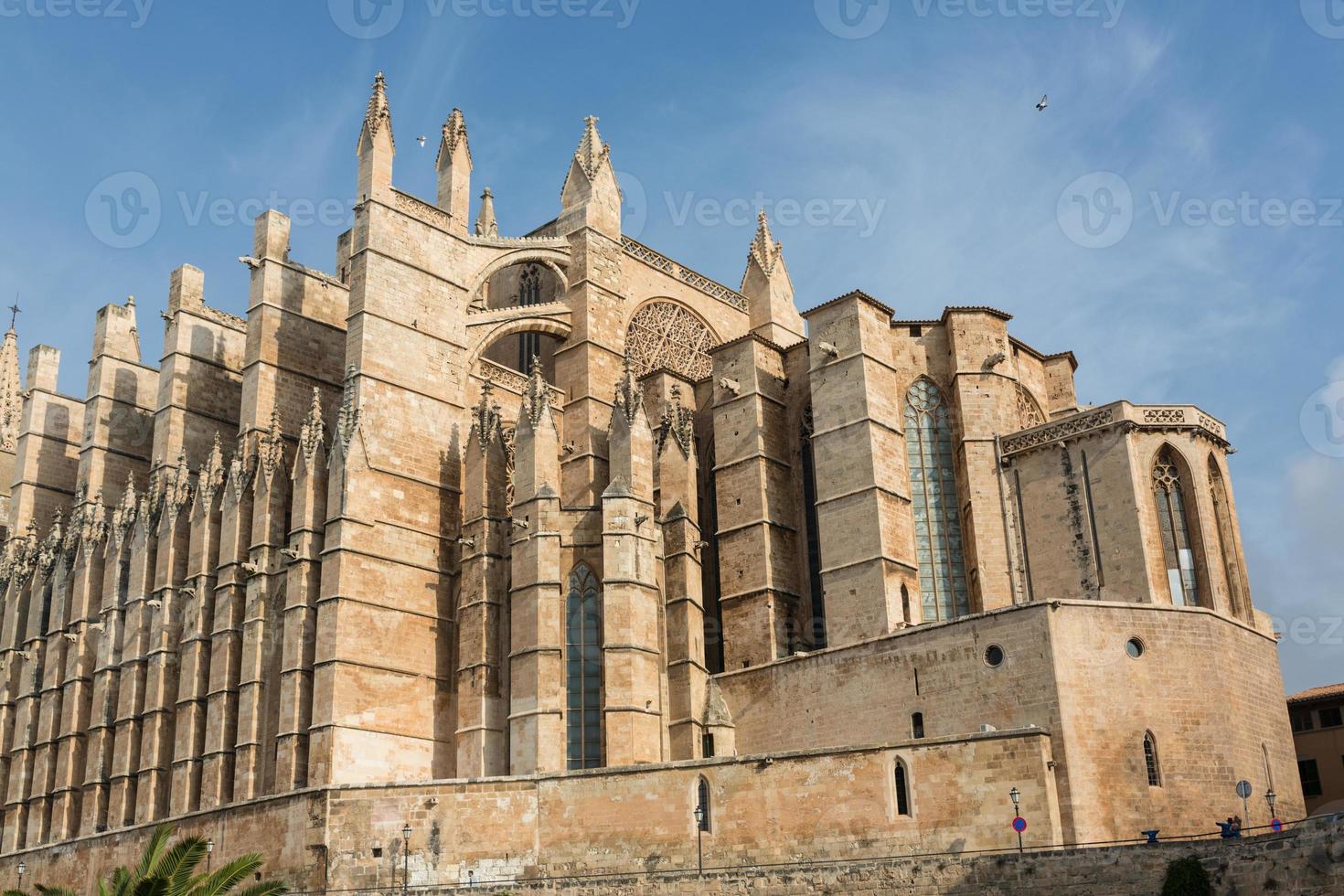 koepel van palma de mallorca, spanje foto