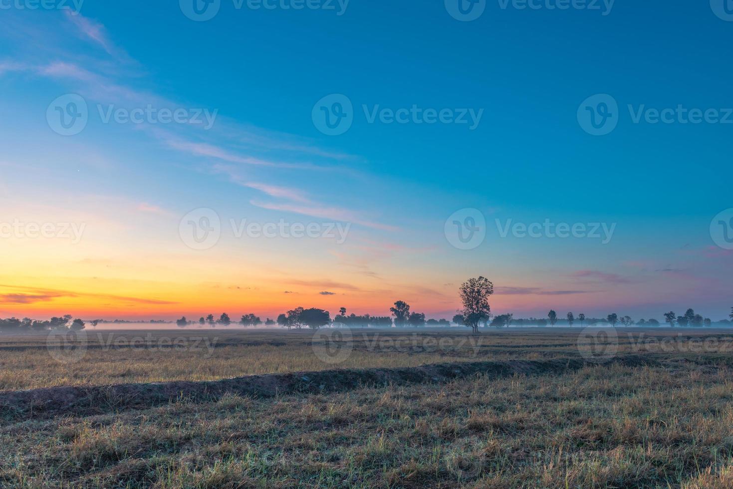 landelijk landschap de velden bij zonsopgang ochtendmist en prachtige lucht foto