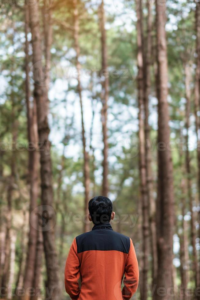 gelukkige reiziger man die staat en kijkt naar dennenbos, solo-toerist in oranje trui die reist in pang oung, mae hong son, thailand. reis-, reis- en vakantieconcept foto