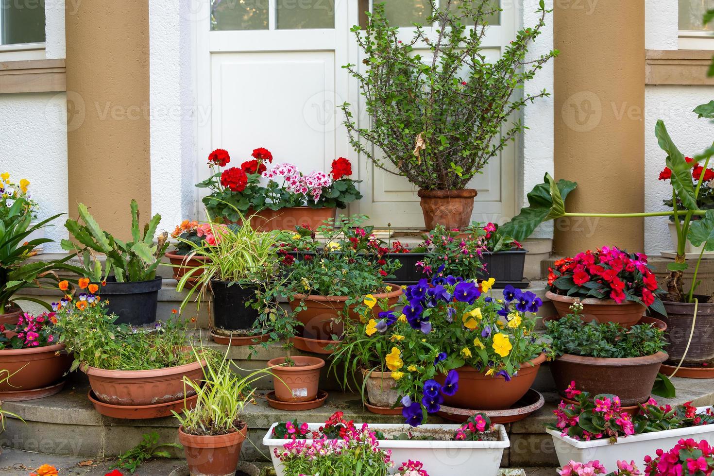 bloempotten voor de ingang van een huis foto