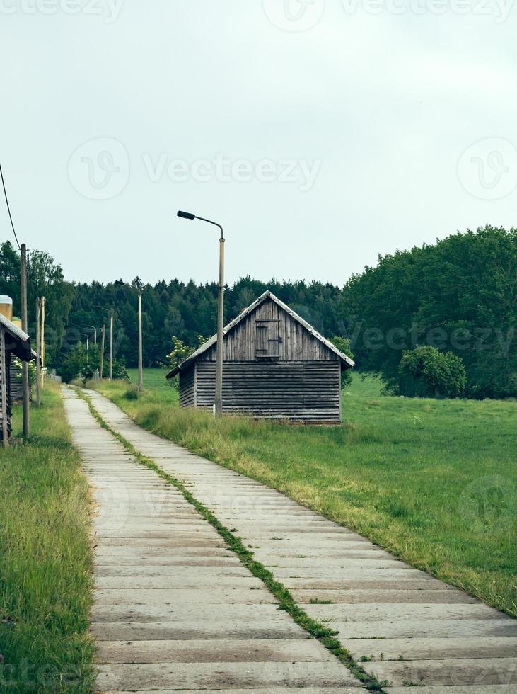 landweg in de zomer foto