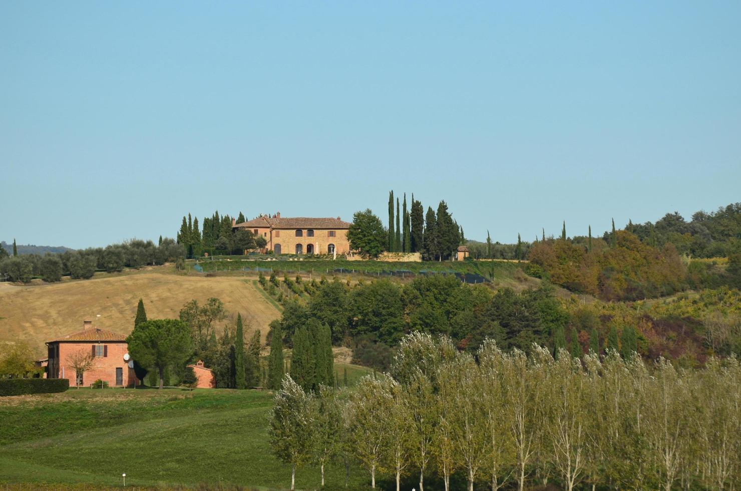 prachtige wijngaard in Toscane, Italië foto