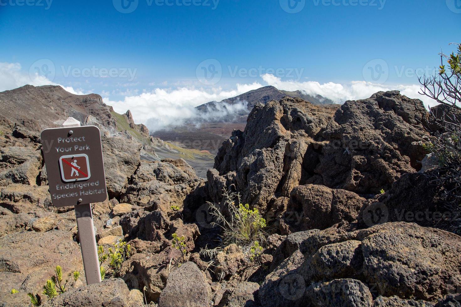 VS - Hawaï - Maui, Haleakala National Park foto