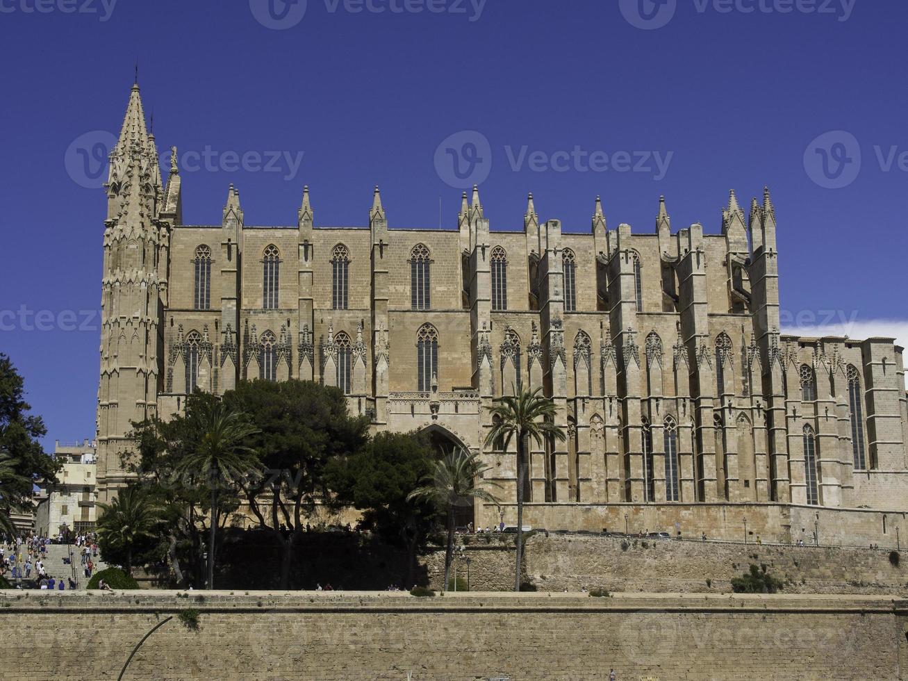 palma de mallorca foto