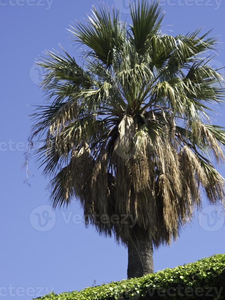 sicilia eiland in italië foto