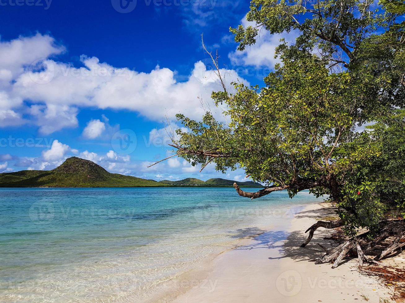 aan de kust van antigua foto