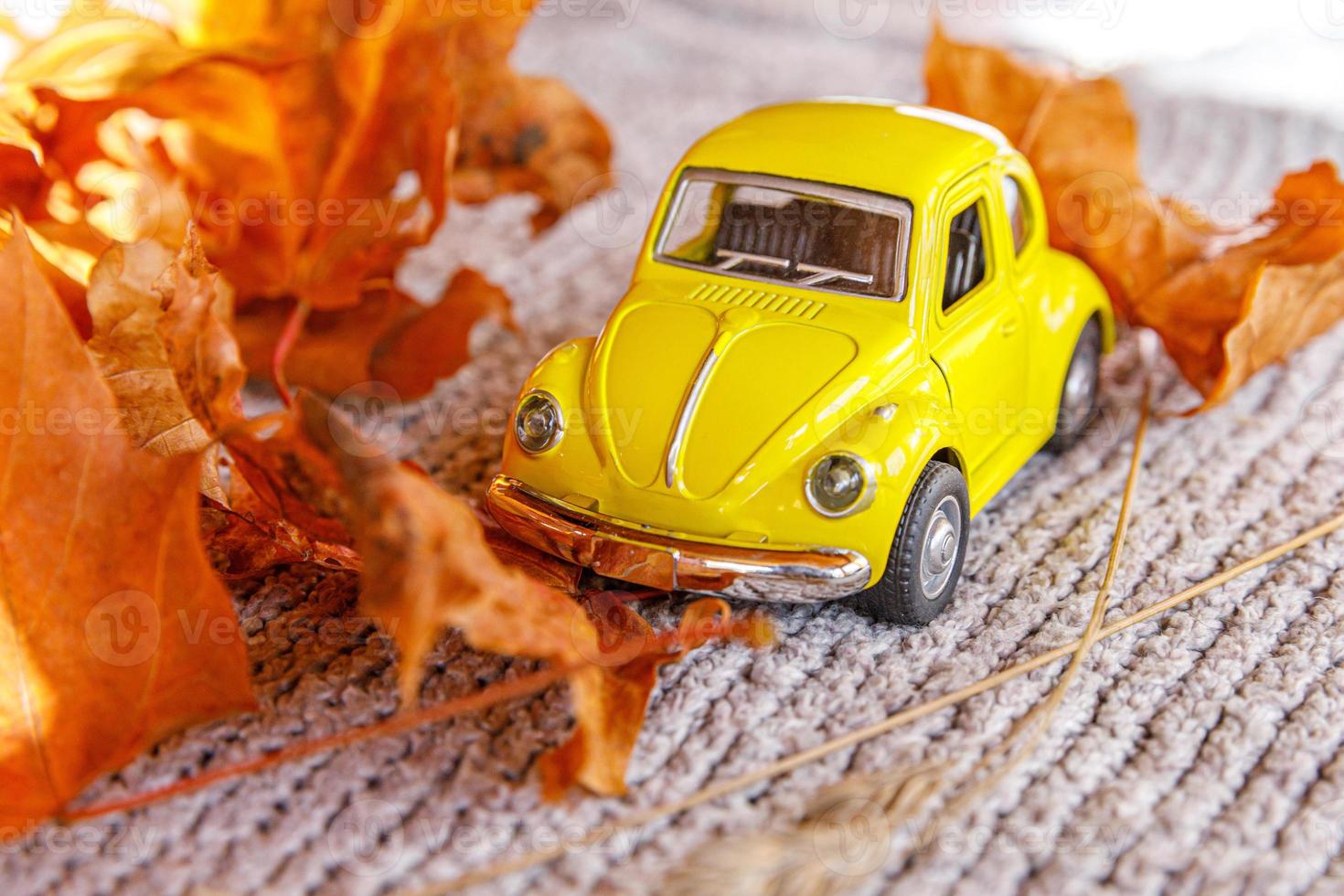 herfst achtergrond. gele speelgoedauto en gedroogde oranje herfst esdoorn bladeren op grijze gebreide trui. Thanksgiving banner kopie ruimte. hygge mood koud weer leveringsconcept. hallo herfstreizen. foto