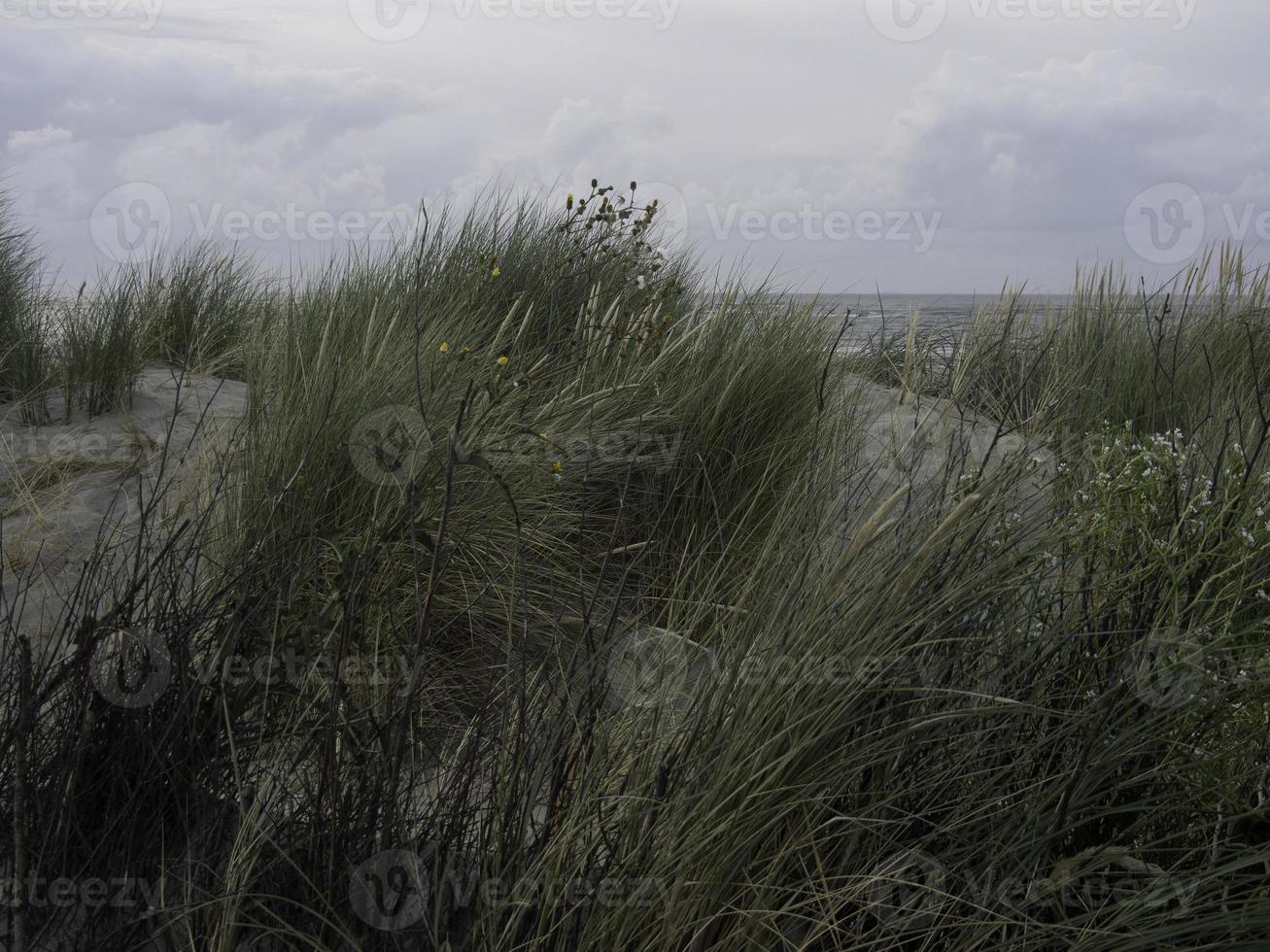 aan het strand van Spiekeroog in de Noordzee foto