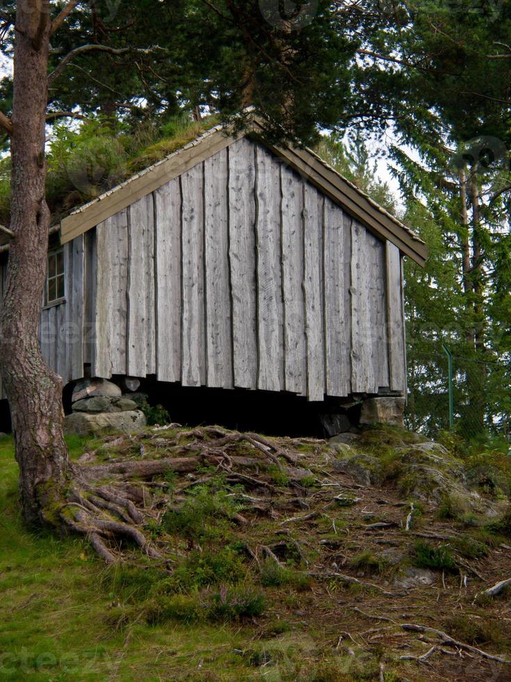 schimmel in noorwegen foto