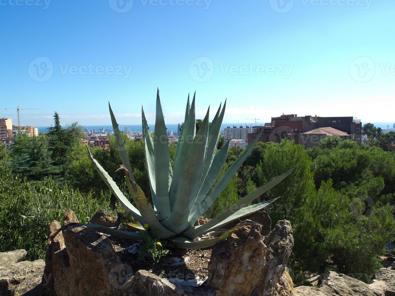 de stad barcelona in spanje foto