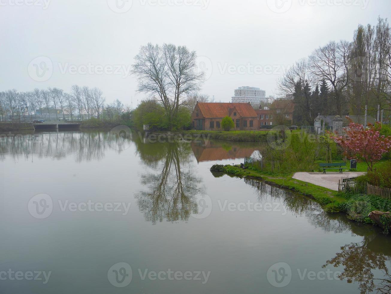 mooi tafereel water weerspiegelt de oever van het meer in het groene park van brugge belgië foto