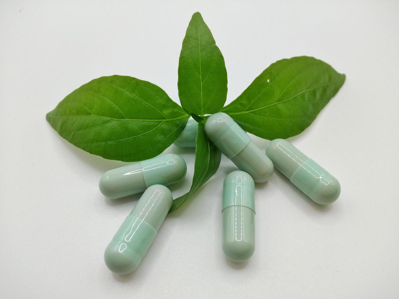 andrographis paniculata groen en capsule pillen witte achtergrond concept covid-19 ziektebehandeling door kruiden te gebruiken die eigenschappen heeft om het virus te helpen remmen, voel je veilig foto
