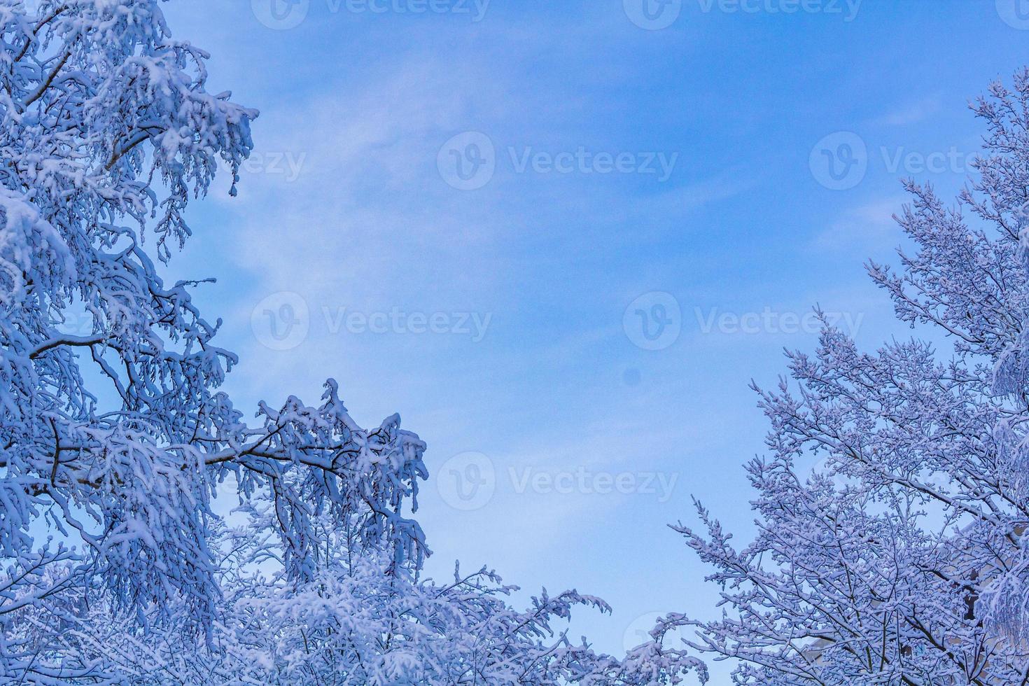 besneeuwde winter sneeuw en ijs landschap panorama uitzicht bremerhaven duitsland. foto